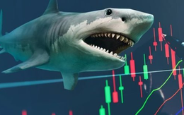 “Cá mập” quy mô gần 14.000 tỷ đồng có thể mua mạnh cổ phiếu này trong kỳ cơ cấu tháng 10