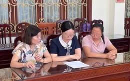 Một nữ giám đốc bị khởi tố