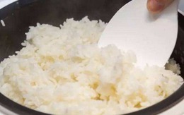 Nấu cơm chỉ cho nước thì quá xoàng: Thêm 2 thứ này, cơm dẻo thơm ngon gấp 10