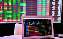 Xử phạt loạt doanh nghiệp, cá nhân vi phạm trong lĩnh vực chứng khoán