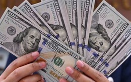 Chuyên gia: NHNN bán kỳ hạn 2,8 tỷ USD giúp trì hoãn áp lực tỷ giá và đảm bảo dự trữ ngoại hối