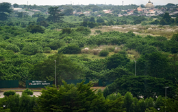 Một nơi có giá đất tăng 25.000%