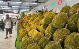 Một đối thủ sầu riêng của Thái Lan, Việt Nam rục rịch gia nhập thị trường Trung Quốc, chuyên gia khẳng định: Cần ít nhất 2 năm nữa để làm điều này