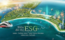 Novasky “đánh thức” miền di sản Vinhomes Green Paradise tại chuỗi sự kiện lớn