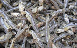 Loại cá được mệnh danh là "thức ăn cho cơm nhà nghèo", giá chỉ 10.000đ/kg, mình nhỏ nhưng cực nhiều chất