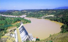 Một công ty thuỷ điện tạm ứng cổ tức tiền mặt 2025 tỷ lệ 20%