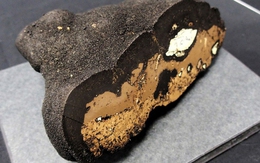 Nhật Bản kỳ vọng vào mỏ đất hiếm khổng lồ