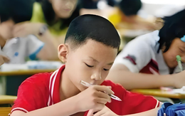 Trẻ có IQ vượt trội thường bộc lộ 4 đặc điểm sau ngay từ những năm đầu tiểu học!