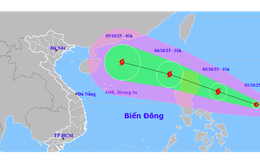 Tin mới về áp thấp nhiệt đới gần Biển Đông