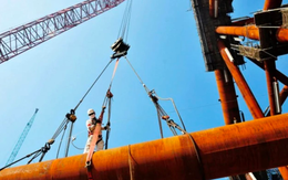 Phát hiện 10.000 km lối đi ngầm chồng chéo dày đặc, không phát ra tiếng động, âm thầm vận chuyển hàng triệu tấn ‘kho báu’ liên tục 24/7