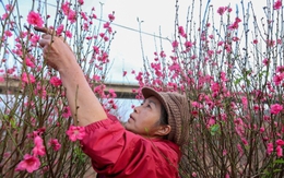 Đề xuất nghỉ Tết Nguyên đán 2026 kéo dài 9 ngày