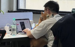 Thấy trống rỗng khi đi làm chỉ vì 50 triệu mỗi tháng