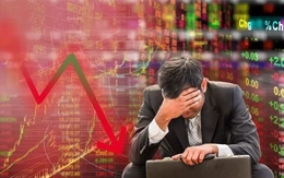 ‘Nhận án’ rời sàn, cổ phiếu nhóm Bamboo Capital đồng loạt lao dốc