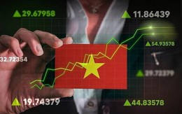 Tung hàng trăm tỷ "gom" cổ phiếu Việt Nam trong phiên giảm điểm, tự doanh CTCK săn lùng mã nào nhiều nhất?