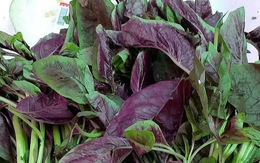 10 loại rau bổ có thể “làm hỏng” thận, bác sĩ cảnh báo, trước khi xào nấu nhớ làm ngay việc này