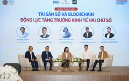 Tài sản mã hóa Việt Nam chạm mốc 220 tỷ USD