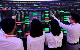 CTCK điểm tên 7 cổ phiếu nền tảng cơ bản tốt, dự kiến KQKD quý 3/2025 tích cực phù hợp để "xuống tiền" trong tháng 10