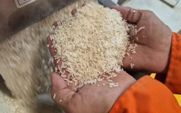 Việt Nam nhập gạo nhiều thứ 2 thế giới
