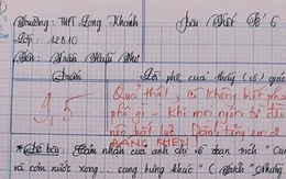 Nam sinh gây sốt với bài văn dài 18 trang, cô giáo đọc xong không biết phải phê gì vì quá xuất sắc!