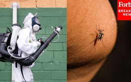 Loại virus khiến Trung Quốc phải kích hoạt kiểm soát dịch như thời Covid-19 đã xuất hiện ở quốc gia khác