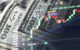 Nhận định sốc: Bong bóng AI hiện lớn gấp 17 lần bong bóng dot-com 25 năm về trước