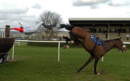 Gần 150 cổ phiếu giảm sàn, vốn hóa chứng khoán Việt Nam "bay" 442.000 tỷ trong phiên 20/10