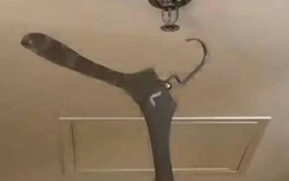 Treo móc áo lên trần nhà kích hoạt hệ thống gây ngập lụt khách sạn, du khách bị đòi bồi thường 600 triệu