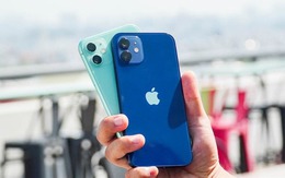 2 chiếc iPhone cũ 'siêu rẻ' giá dưới 10 triệu