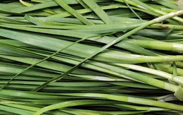 5 loại rau dễ "ngậm thuốc trừ sâu" nhất chợ, dân buôn né xa