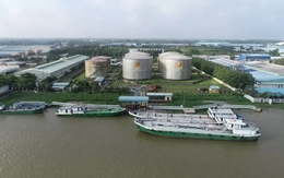 Miễn nhiệm Tổng Giám đốc Công ty dầu khí Nam Sông Hậu