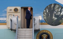 Fox News: Phát hiện 'điểm ngắm' bí ẩn hướng thẳng chuyên cơ Air Force One của ông Trump, FBI vào cuộc điều tra khẩn