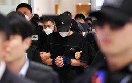 "Cạn lời" với một số thanh niên Hàn Quốc: Vừa mới cứu khỏi trại lừa đảo Campuchia, hôm sau quay lại luôn