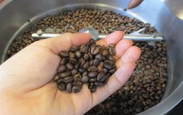 Giá cà phê xuất khẩu tăng 45%
