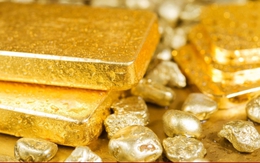 Đề nghị truy tố Chủ tịch Công ty Vàng Việt Nam Trần Như My