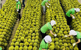 Trung Quốc ra quy định mới về nhập khẩu nông sản