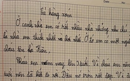 Bài văn tả hàng xóm của học sinh tiểu học khiến dân mạng cười đứt ruột: "Phen này láng giềng lục đục"
