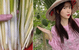 Rau mọc bờ bụi giờ thành đặc sản miền Tây: Giá đắt hơn thịt, 120.000 đồng/kg vẫn nườm nượp người mua