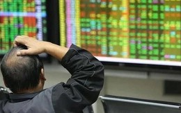 Tự doanh CTCK quay đầu bán ròng gần 200 tỷ đồng trong phiên 22/11, cổ phiếu nào là tâm điểm "xả hàng"?