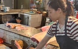 Kỹ sư thú y tiếp tay bán hơn 60 tấn lợn bệnh cho người dân làm thực phẩm