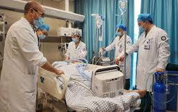 6 người bị “hỏng thận” nặng sau khi ăn 1 loại "rau trường thọ”: Bác sĩ khuyên chớ nên chủ quan kẻo rước bệnh vào người