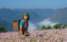 Trời trở lạnh và Hà Giang đã vào mùa đẹp nhất, đi ngay thôi còn do dự là lỡ mất!