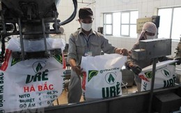 'Quả đấm thép' một thời báo lỗ gần 100 tỷ trong quý 3/2025 do ngừng máy dài ngày, lỗ lũy kế hơn 2.100 tỷ đồng