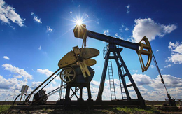 Nga đón 'cú sốc' từ quốc gia mua gần 90 triệu tấn dầu/năm: Đang là khách hàng số một nay mức nhập khẩu sắp về 0