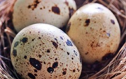 Khuyên thật: Đi chợ mua trứng nhớ 5 bí quyết này, trứng ngon, để được lâu