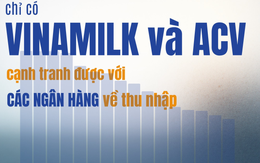 Những DN lớn nhất: Chỉ Vinamilk và ACV trả lương bình quân trên 30 triệu/tháng, cạnh tranh với Ngân hàng, công ty nào có thu nhập 70,5 triệu/tháng?