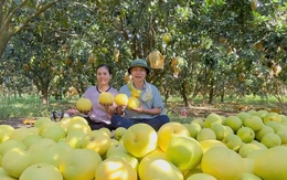 'Đệ nhất danh quả' Hà Tĩnh được chọn trong tiệc cưới Đỗ Thị Hà