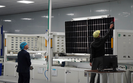 Damsan báo lãi 78 tỷ đồng sau 9 tháng, tự tin hoàn thành kế hoạch năm