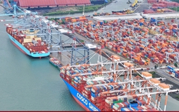 TP.HCM xây 3 cảng hành khách quốc tế để phát triển du lịch tàu biển