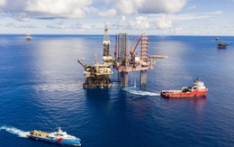 Doanh nghiệp lớn nhất Việt Nam muốn bán hết cổ phần tại 2 công ty, thu về gần 200 tỷ đồng để 'tập trung cho hoạt động cốt lõi'