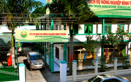 Bitagco báo lỗ sau 9 tháng đầu năm 2025